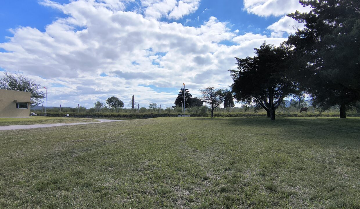 IMG_20250410_111021055_HDR