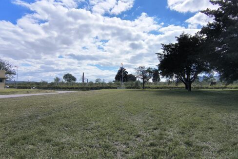 IMG_20250410_111021055_HDR