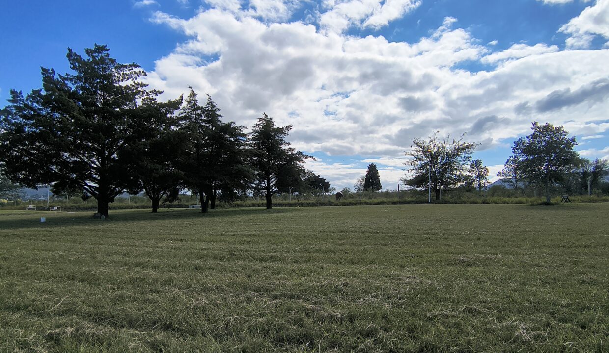 IMG_20250410_111052460_HDR