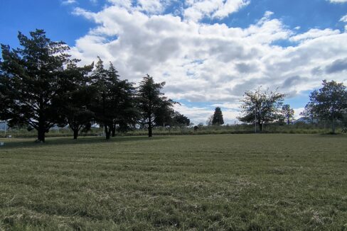 IMG_20250410_111052460_HDR