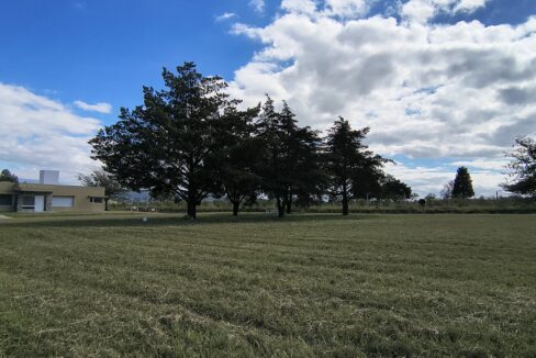 IMG_20250410_111055897_HDR