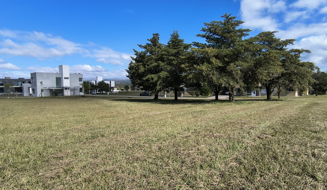 IMG_20250410_111129095_HDR