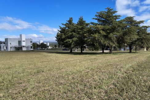 IMG_20250410_111129095_HDR