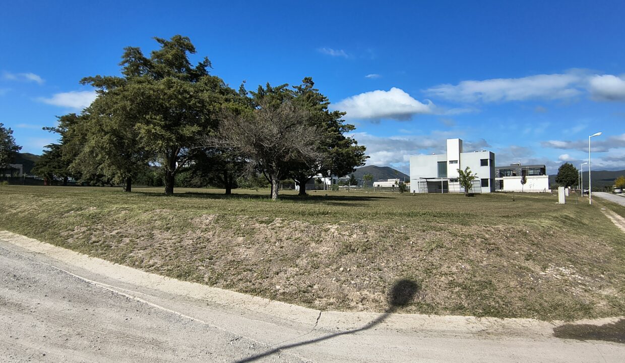 IMG_20250410_111217668_HDR