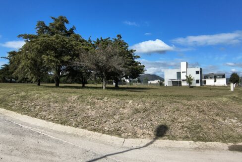 IMG_20250410_111217668_HDR