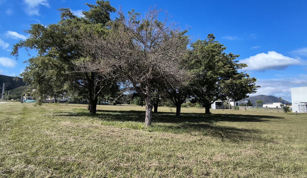 IMG_20250410_111231962_HDR