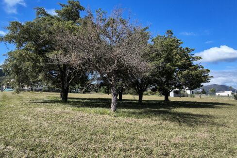 IMG_20250410_111231962_HDR