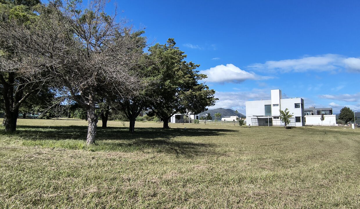 IMG_20250410_111235902_HDR