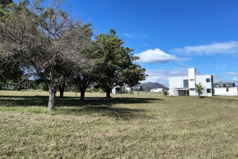 IMG_20250410_111235902_HDR