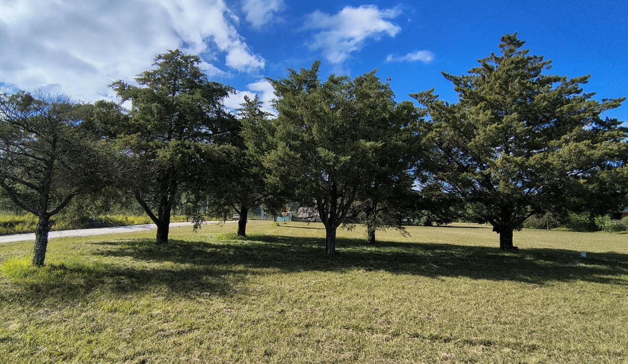 IMG_20250410_111251918_HDR