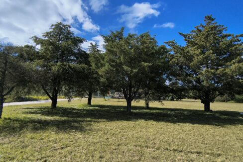 IMG_20250410_111251918_HDR