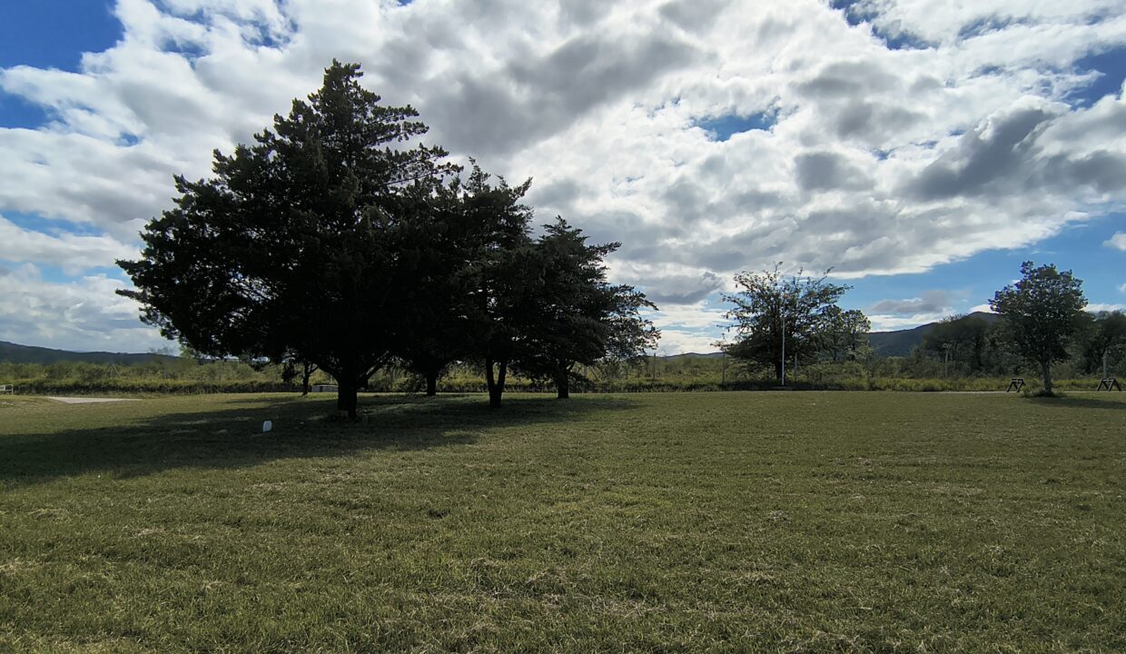 IMG_20250410_111328013_HDR