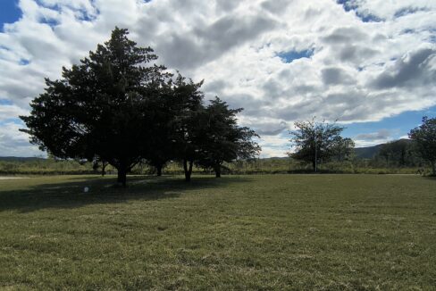 IMG_20250410_111328013_HDR