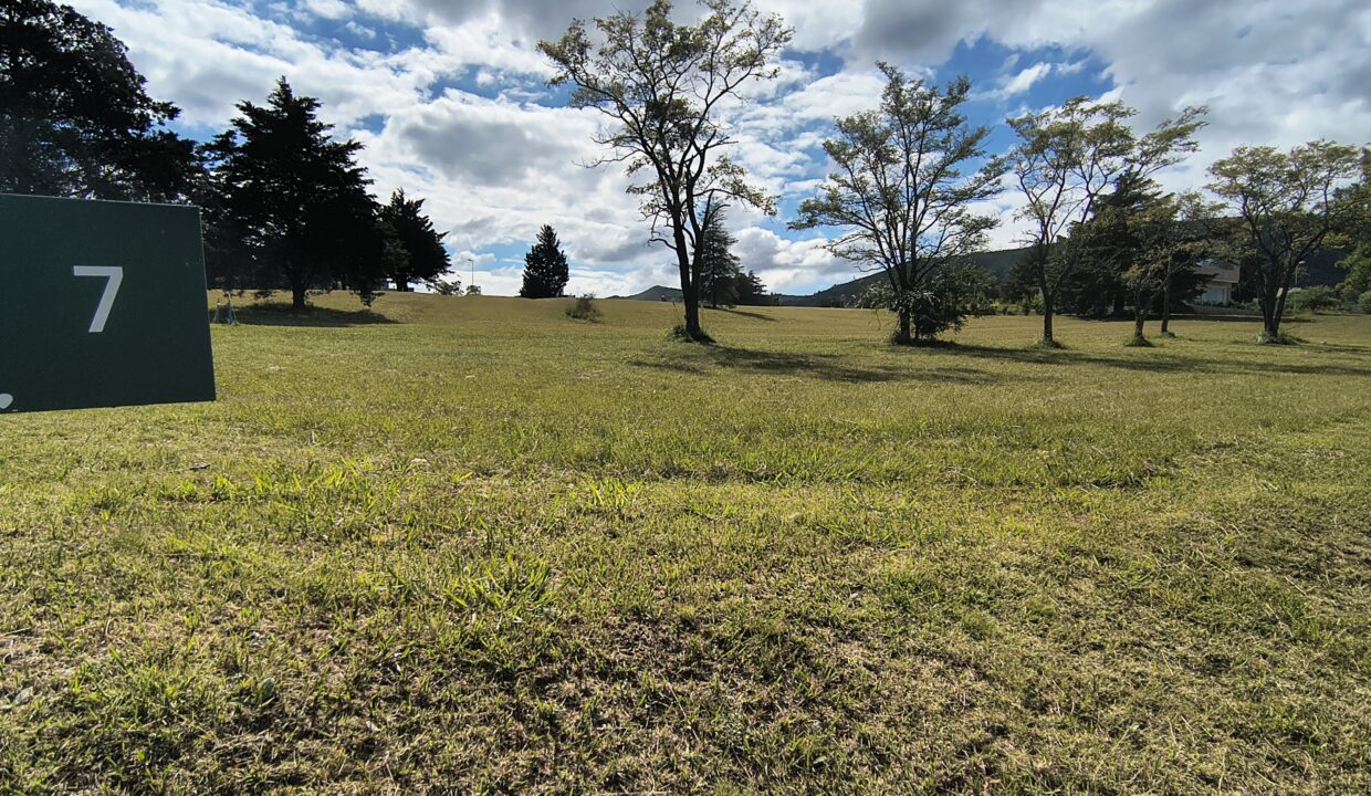IMG_20250410_112359068_HDR