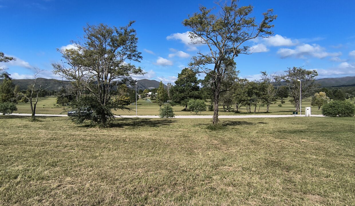 IMG_20250410_112535386_HDR