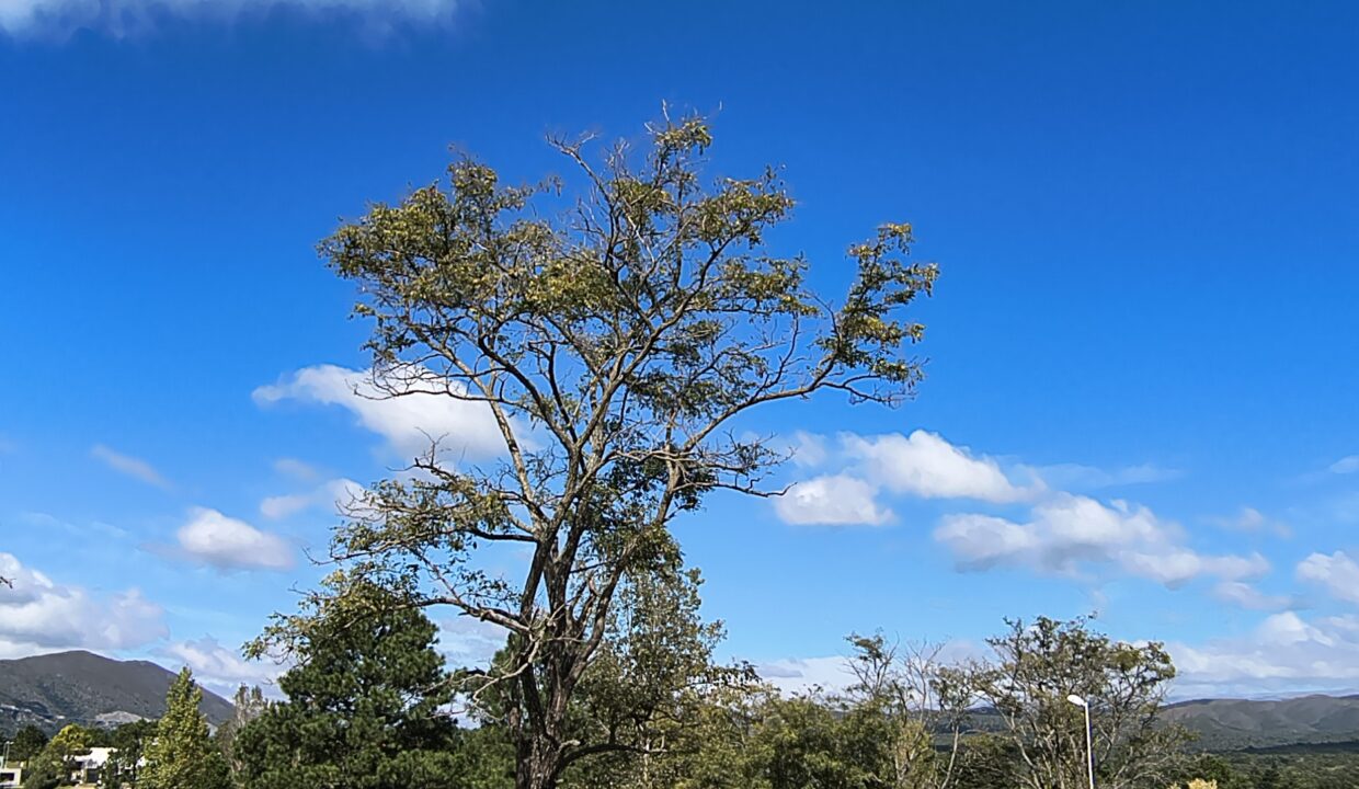IMG_20250410_112542733_HDR