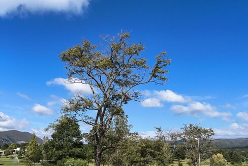 IMG_20250410_112542733_HDR