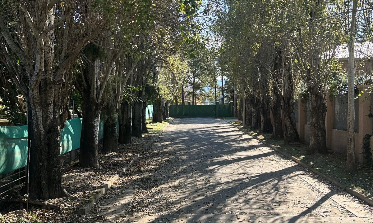 WhatsApp Image 2025-05-10 at 09.21.05