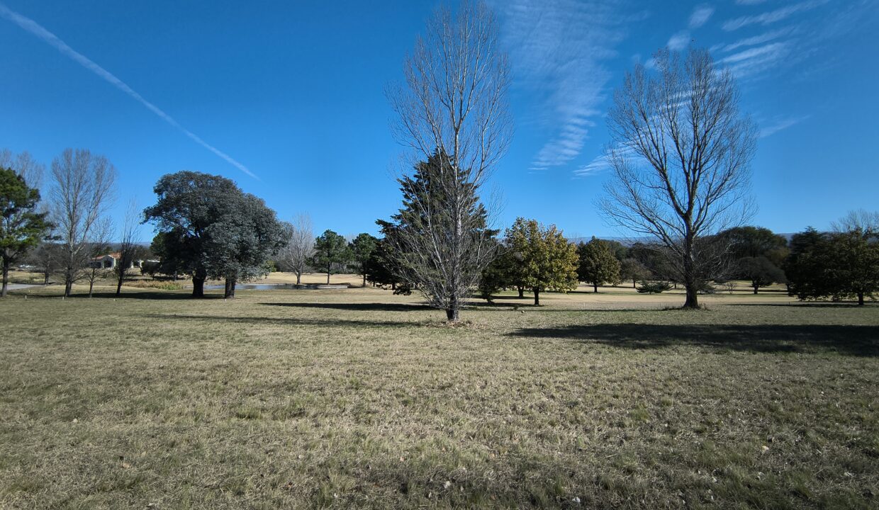 IMG_20250603_125223459