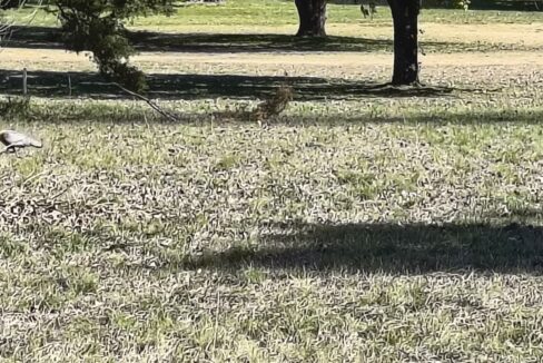IMG_20250603_125246434_HDR