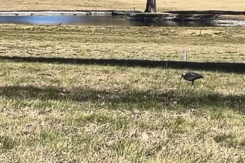 IMG_20250603_125329948_HDR