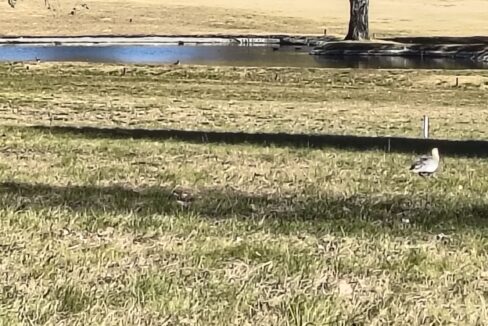 IMG_20250603_125333705_HDR