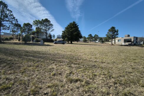 IMG_20250603_125353301_HDR