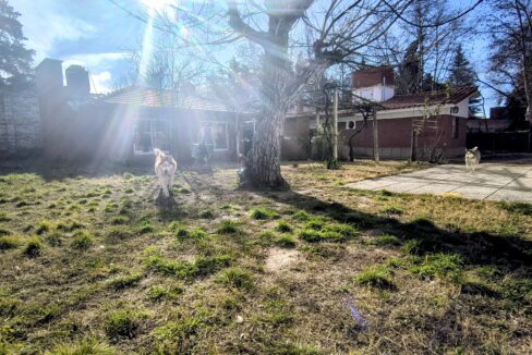 IMG_20250801_162236178_HDR~2
