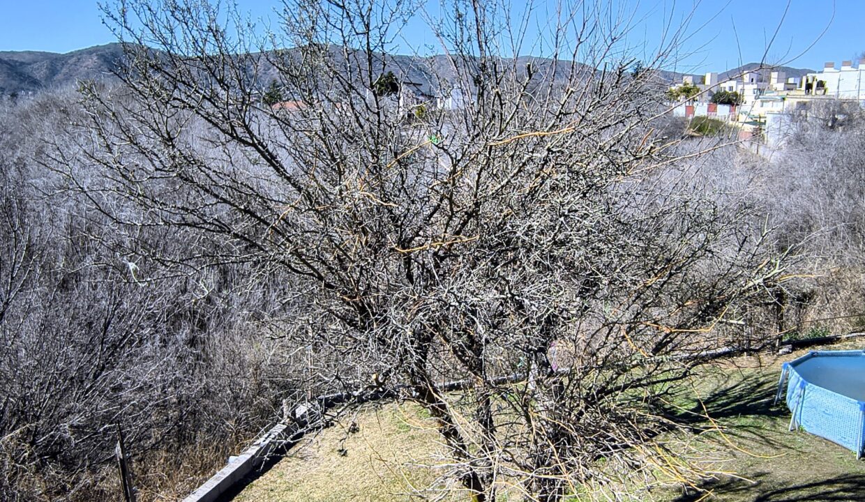 IMG_20250808_114935289_HDR~2