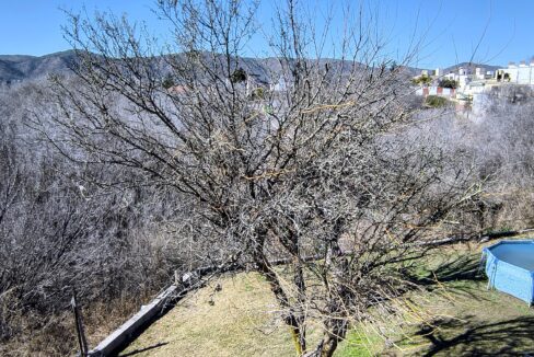 IMG_20250808_114935289_HDR~2