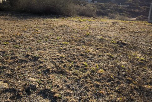 IMG_20250820_173528524_HDR-EDIT