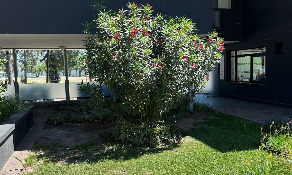 4500a1fd-a4e5-4dfe-91f9-718c19aae684