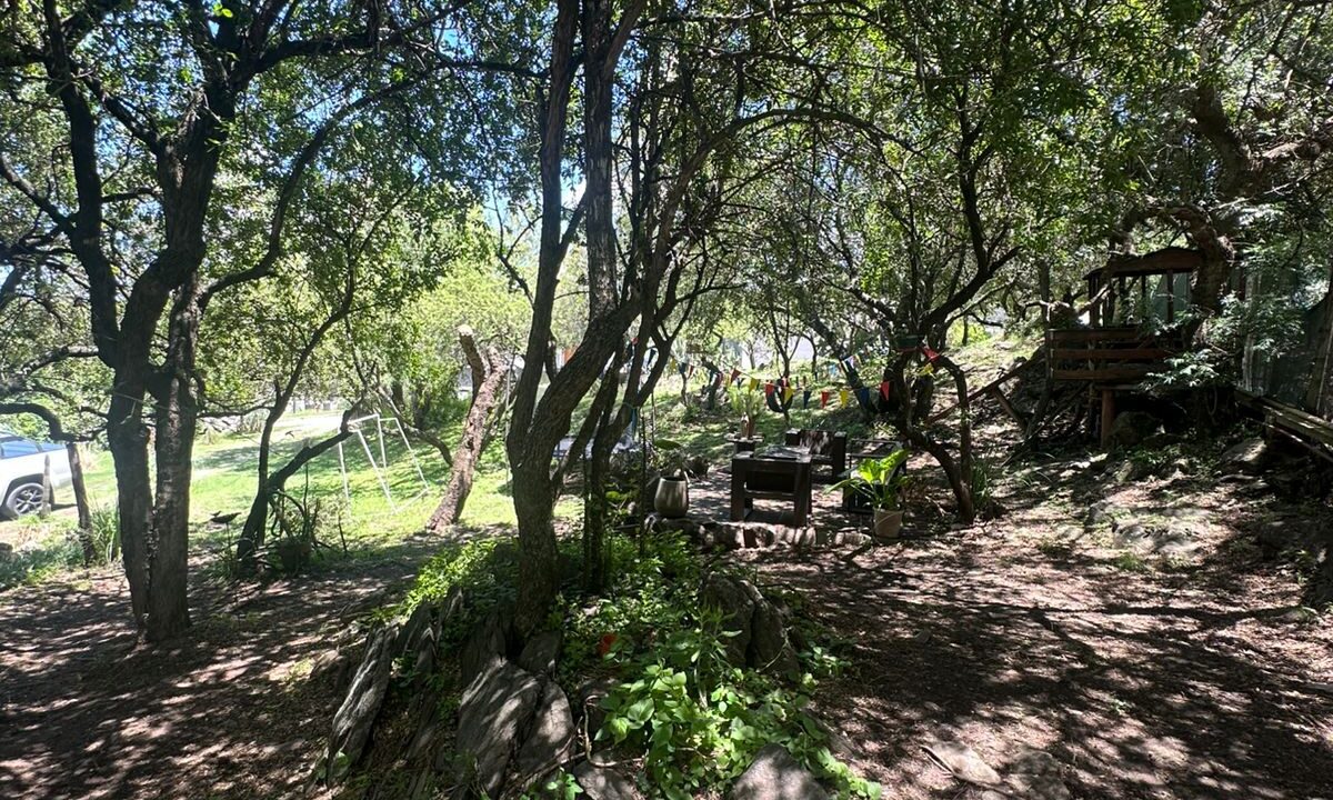 39d3e737-2910-49c0-ad36-7b72328028a5