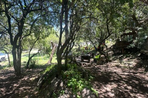 39d3e737-2910-49c0-ad36-7b72328028a5