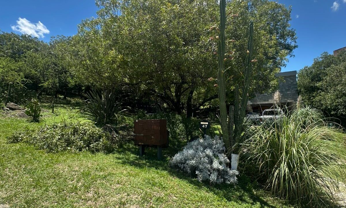 7f0978c5-8716-406d-8b99-df35334f00b3