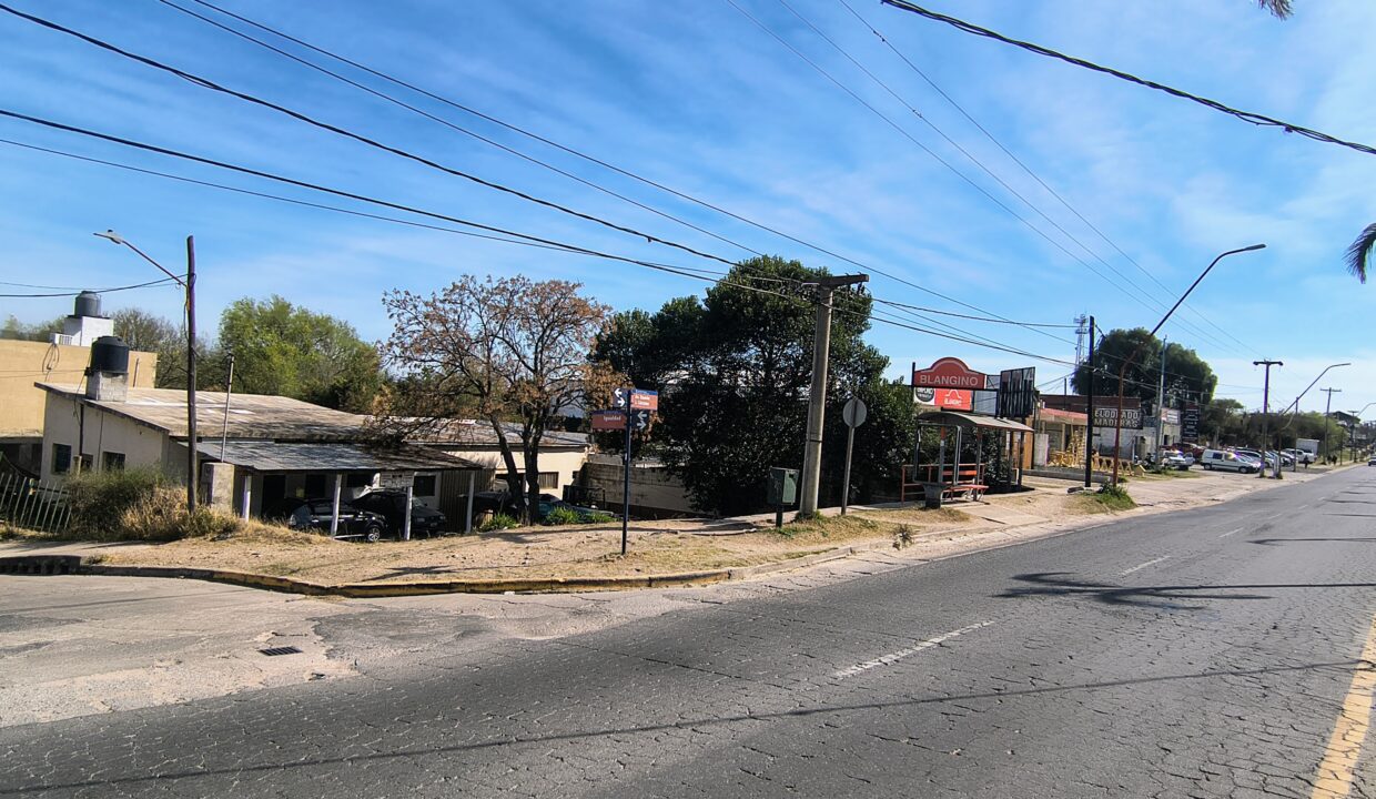 IMG_20250913_104352184_HDR_AE (1)