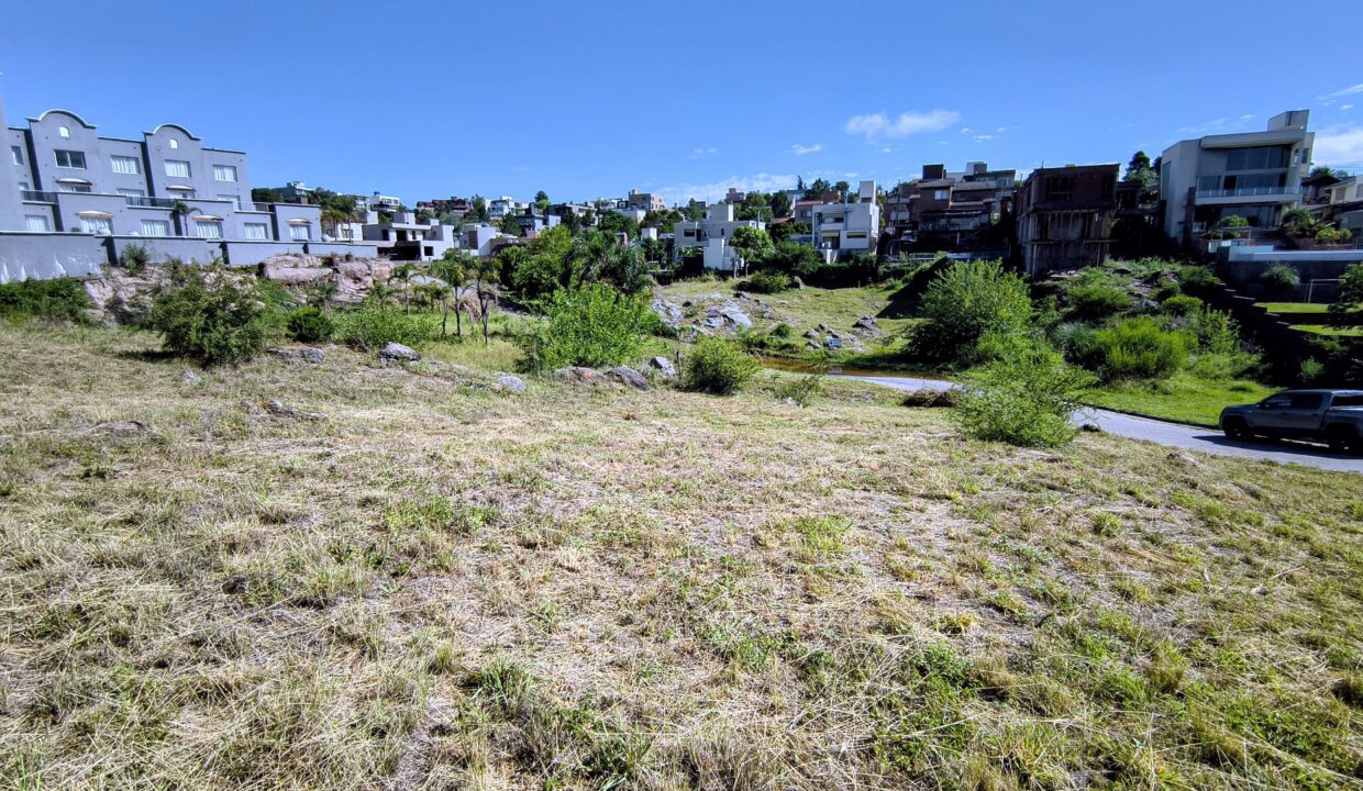 IMG_20260109_094845256~2