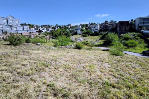 IMG_20260109_094845256~2