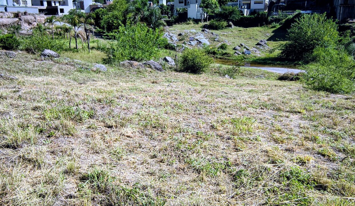 IMG_20260109_094850900~2