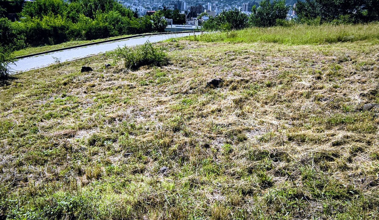 IMG_20260109_094917177~2