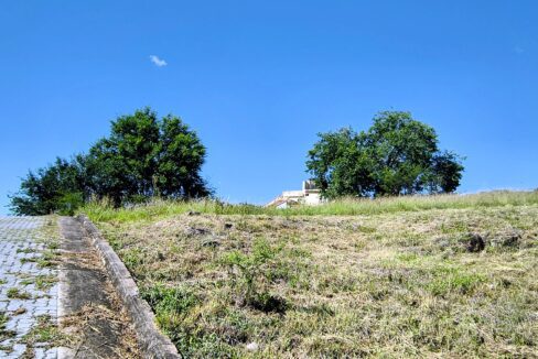 IMG_20260109_095131646~2