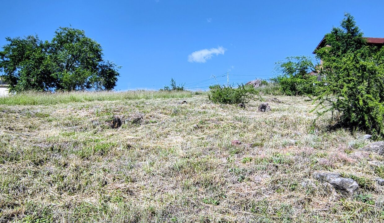 IMG_20260109_095138454_HDR~2