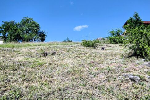 IMG_20260109_095138454_HDR~2