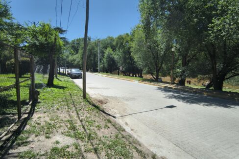 IMG_20260123_120641422_HDR