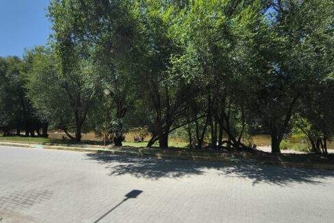 IMG_20260123_120702426