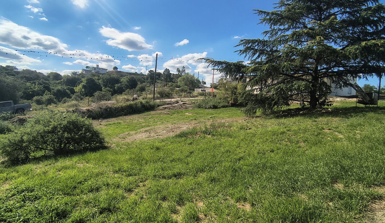 IMG_20260126_172612339_HDR