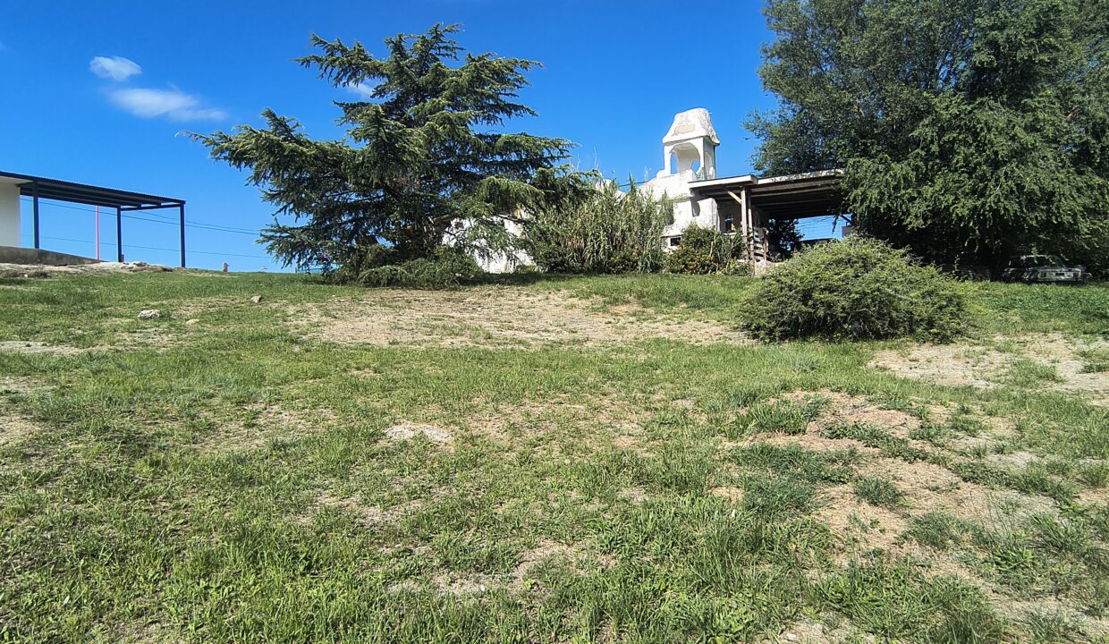 IMG_20260126_172727145_HDR