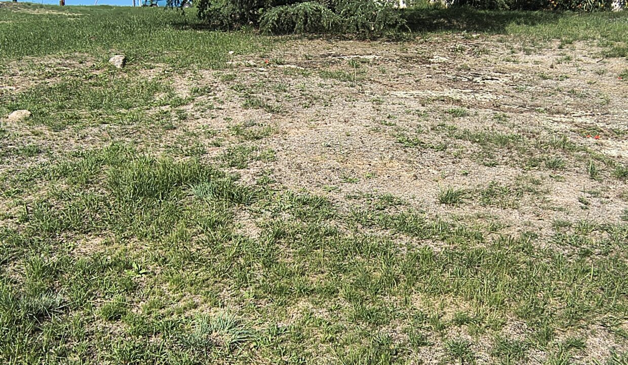 IMG_20260126_172749424_HDR