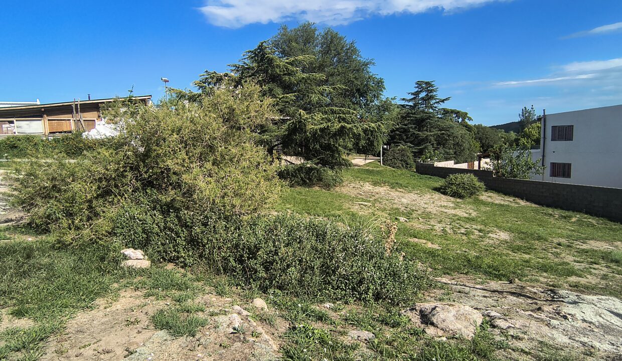 IMG_20260126_172814074_HDR