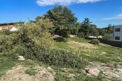 IMG_20260126_172814074_HDR